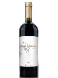 Domeniul Bogdan Cuvee Experience Rosu Organic 2019 | Domeniul Bogdan | Murfatlar